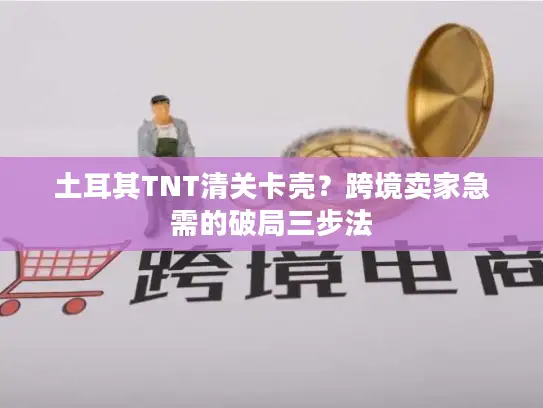 土耳其TNT清关卡壳？跨境卖家急需的破局三步法