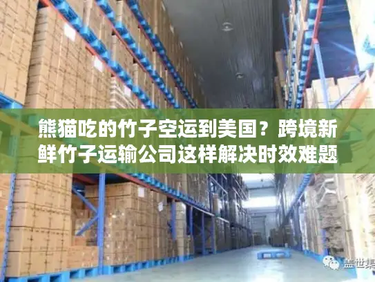 熊猫吃的竹子空运到美国？跨境新鲜竹子运输公司这样解决时效难题！