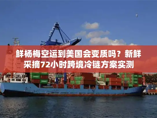 鲜杨梅空运到美国会变质吗？新鲜采摘72小时跨境冷链方案实测