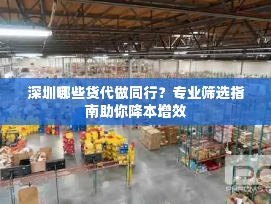 深圳哪些货代做同行？专业筛选指南助你降本增效