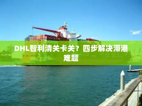 DHL智利清关卡关？四步解决滞港难题