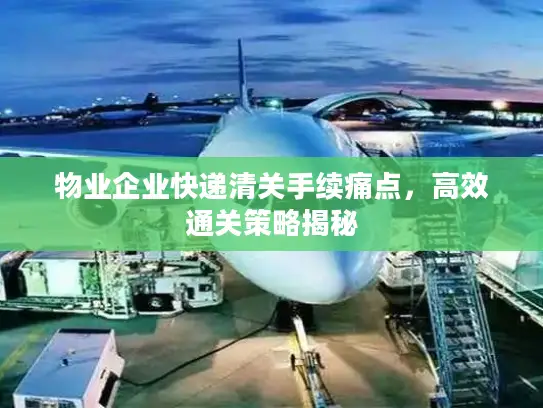 物业企业快递清关手续痛点，高效通关策略揭秘