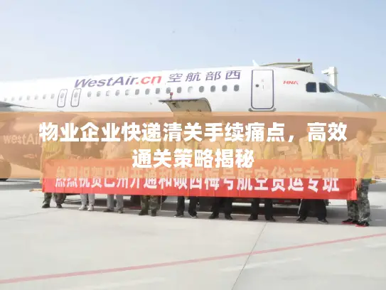 物业企业快递清关手续痛点，高效通关策略揭秘