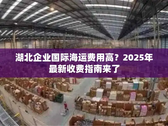 湖北企业国际海运费用高？2025年最新收费指南来了