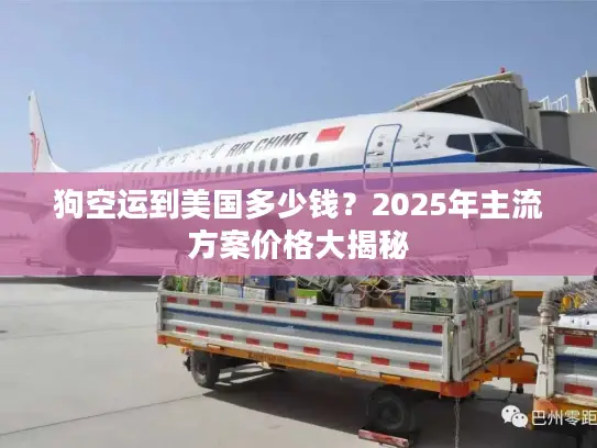 狗空运到美国多少钱？2025年主流方案价格大揭秘