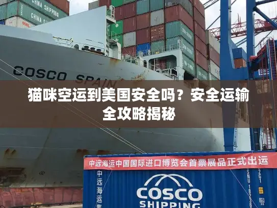 猫咪空运到美国安全吗？安全运输全攻略揭秘