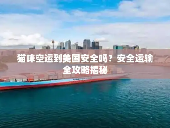 猫咪空运到美国安全吗？安全运输全攻略揭秘