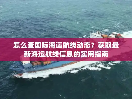 怎么查国际海运航线动态？获取最新海运航线信息的实用指南