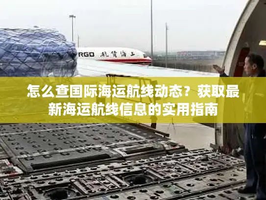 怎么查国际海运航线动态？获取最新海运航线信息的实用指南