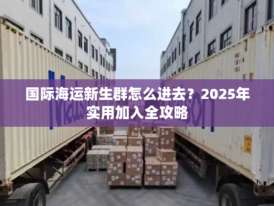 国际海运新生群怎么进去？2025年实用加入全攻略