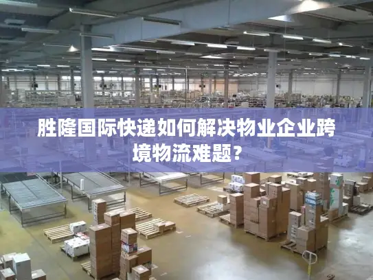 胜隆国际快递如何解决物业企业跨境物流难题？