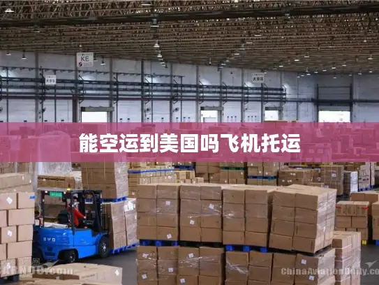能空运到美国吗飞机托运