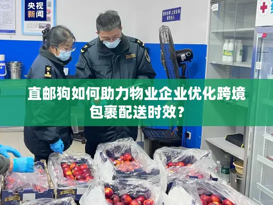 直邮狗如何助力物业企业优化跨境包裹配送时效？
