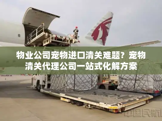 物业公司宠物进口清关难题？宠物清关代理公司一站式化解方案