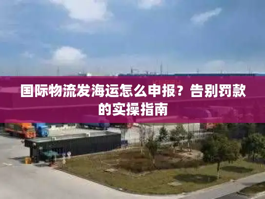 国际物流发海运怎么申报？告别罚款的实操指南