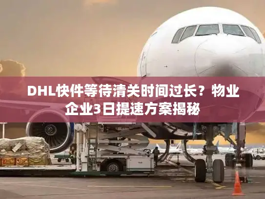 DHL快件等待清关时间过长？物业企业3日提速方案揭秘