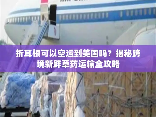 折耳根可以空运到美国吗？揭秘跨境新鲜草药运输全攻略