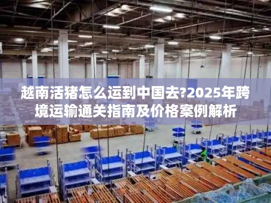 越南活猪怎么运到中国去?2025年跨境运输通关指南及价格案例解析