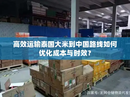 高效运输泰国大米到中国路线如何优化成本与时效？