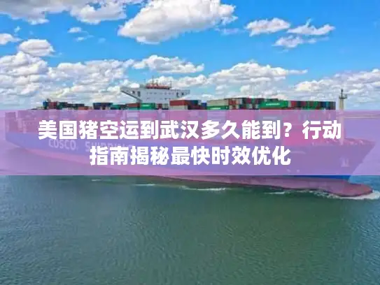 美国猪空运到武汉多久能到？行动指南揭秘最快时效优化