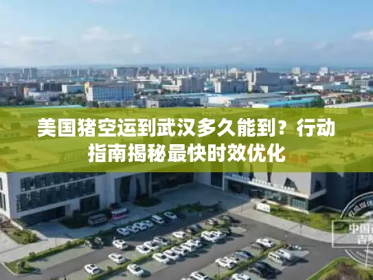 美国猪空运到武汉多久能到？行动指南揭秘最快时效优化