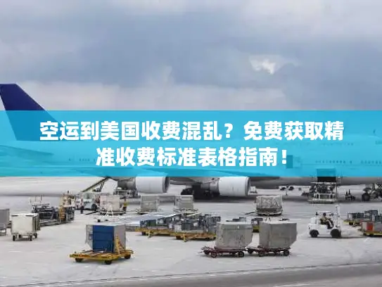 空运到美国收费混乱？免费获取精准收费标准表格指南！