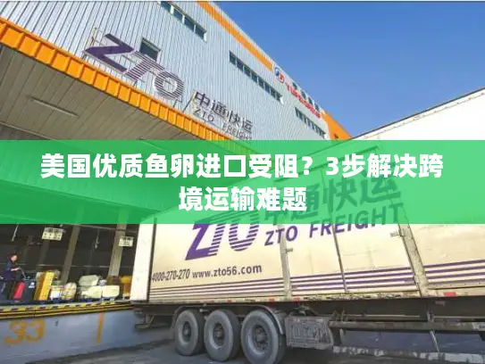 美国优质鱼卵进口受阻？3步解决跨境运输难题