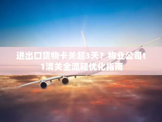 进出口货物卡关超3天？物业公司t1清关全流程优化指南