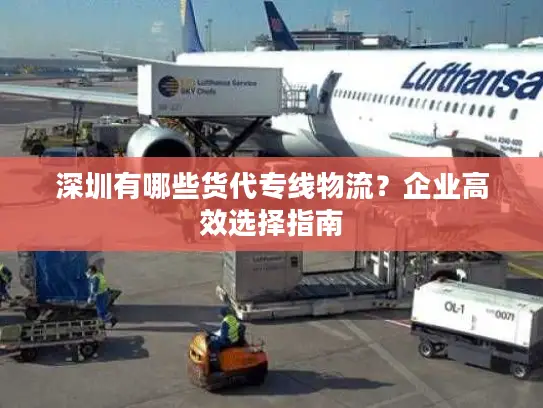 深圳有哪些货代专线物流？企业高效选择指南