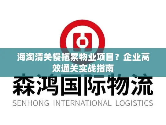 海淘清关慢拖累物业项目？企业高效通关实战指南