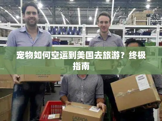 宠物如何空运到美国去旅游？终极指南
