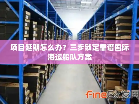 项目延期怎么办？三步锁定靠谱国际海运船队方案