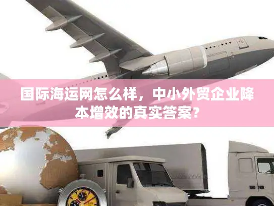 国际海运网怎么样，中小外贸企业降本增效的真实答案？