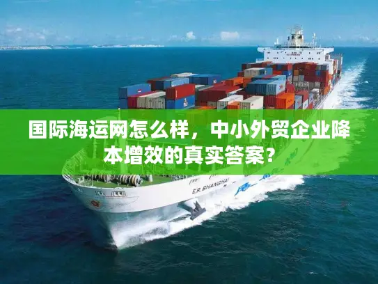 国际海运网怎么样，中小外贸企业降本增效的真实答案？