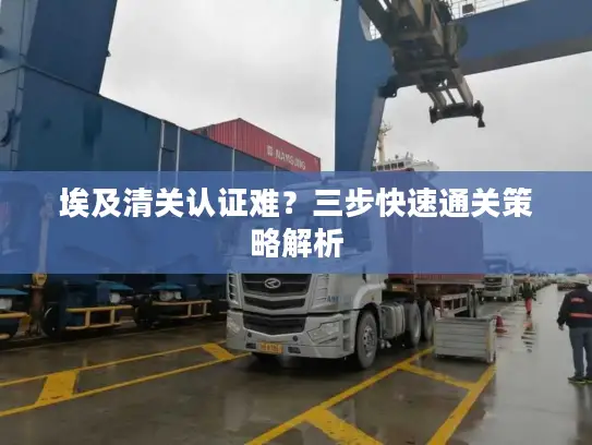 埃及清关认证难？三步快速通关策略解析