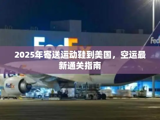 2025年寄送运动鞋到美国，空运最新通关指南