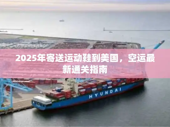 2025年寄送运动鞋到美国，空运最新通关指南