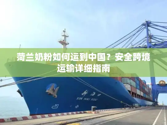 菏兰奶粉如何运到中国？安全跨境运输详细指南