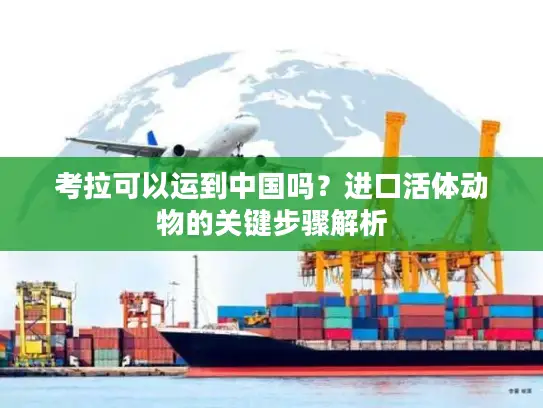 考拉可以运到中国吗？进口活体动物的关键步骤解析