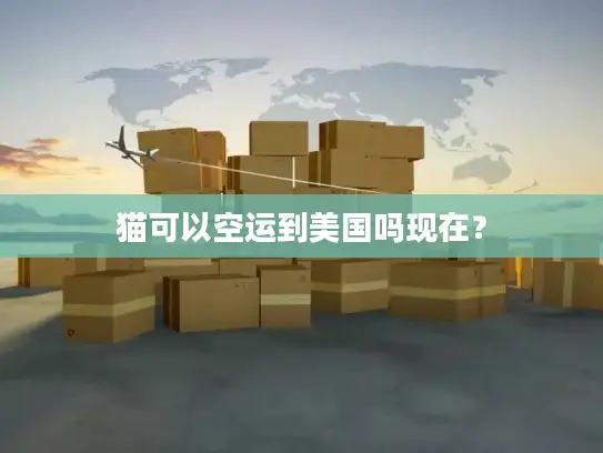 猫可以空运到美国吗现在？