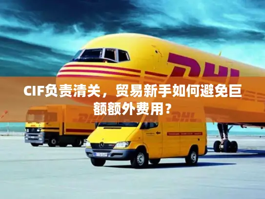 CIF负责清关，贸易新手如何避免巨额额外费用？