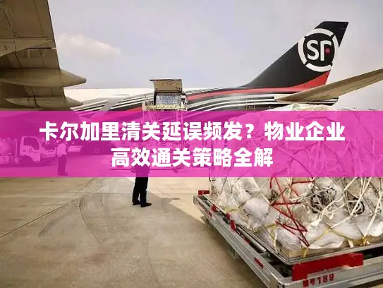 卡尔加里清关延误频发？物业企业高效通关策略全解
