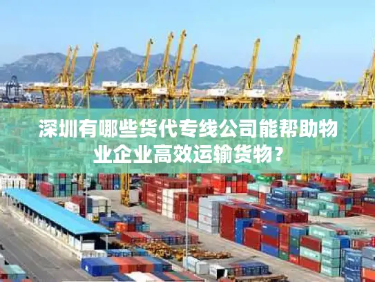 深圳有哪些货代专线公司能帮助物业企业高效运输货物？