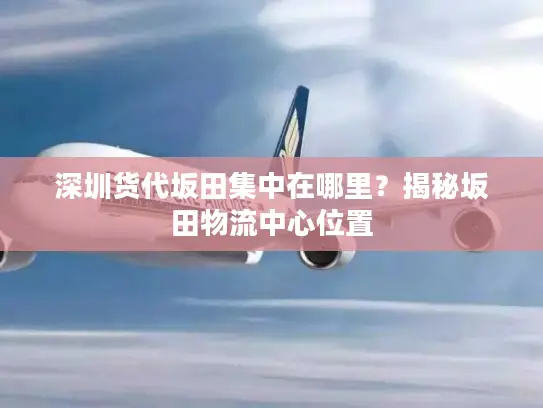 深圳货代坂田集中在哪里？揭秘坂田物流中心位置