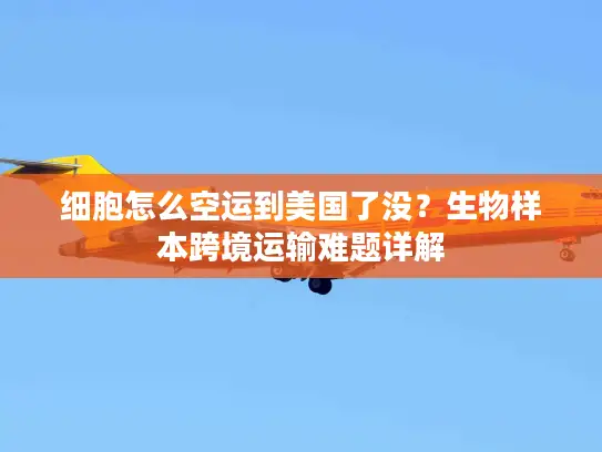 细胞怎么空运到美国了没？生物样本跨境运输难题详解