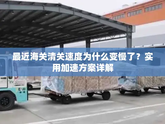 最近海关清关速度为什么变慢了？实用加速方案详解