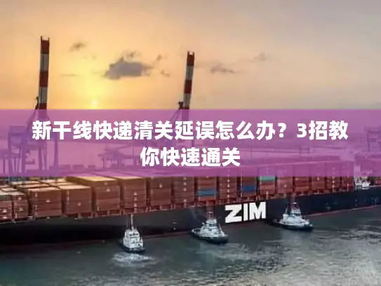 新干线快递清关延误怎么办？3招教你快速通关
