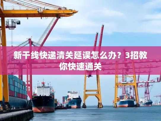 新干线快递清关延误怎么办？3招教你快速通关