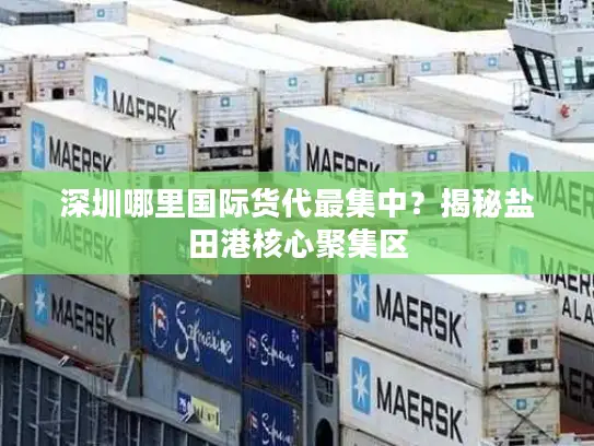 深圳哪里国际货代最集中？揭秘盐田港核心聚集区