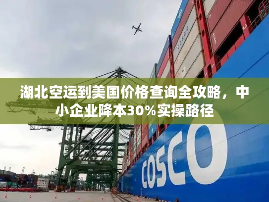 湖北空运到美国价格查询全攻略，中小企业降本30%实操路径